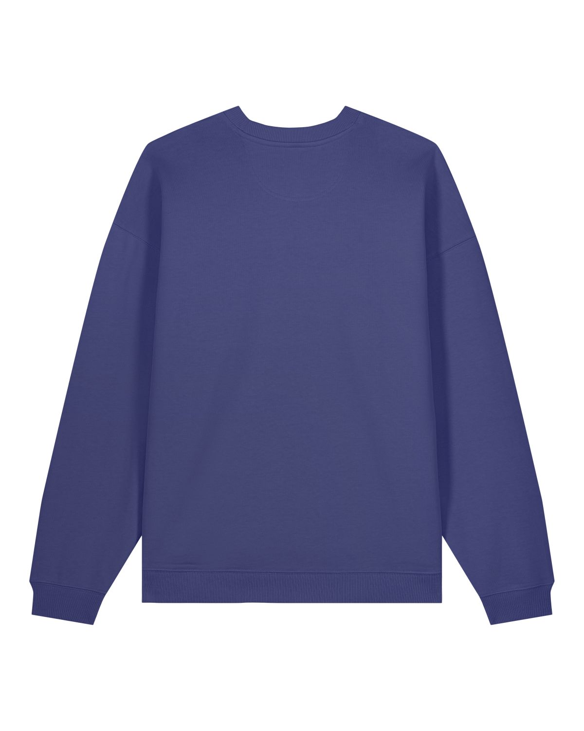 radder 2.0 unisex sweatshirt