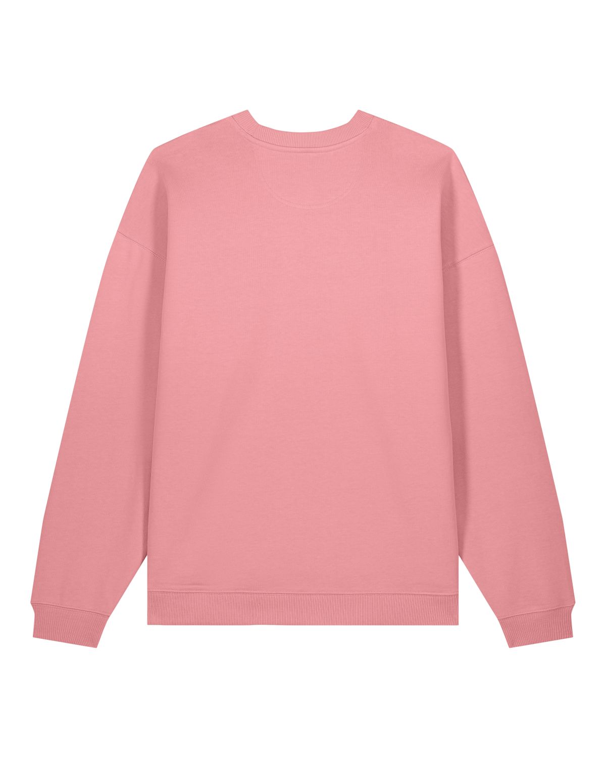 radder 2.0 unisex sweatshirt