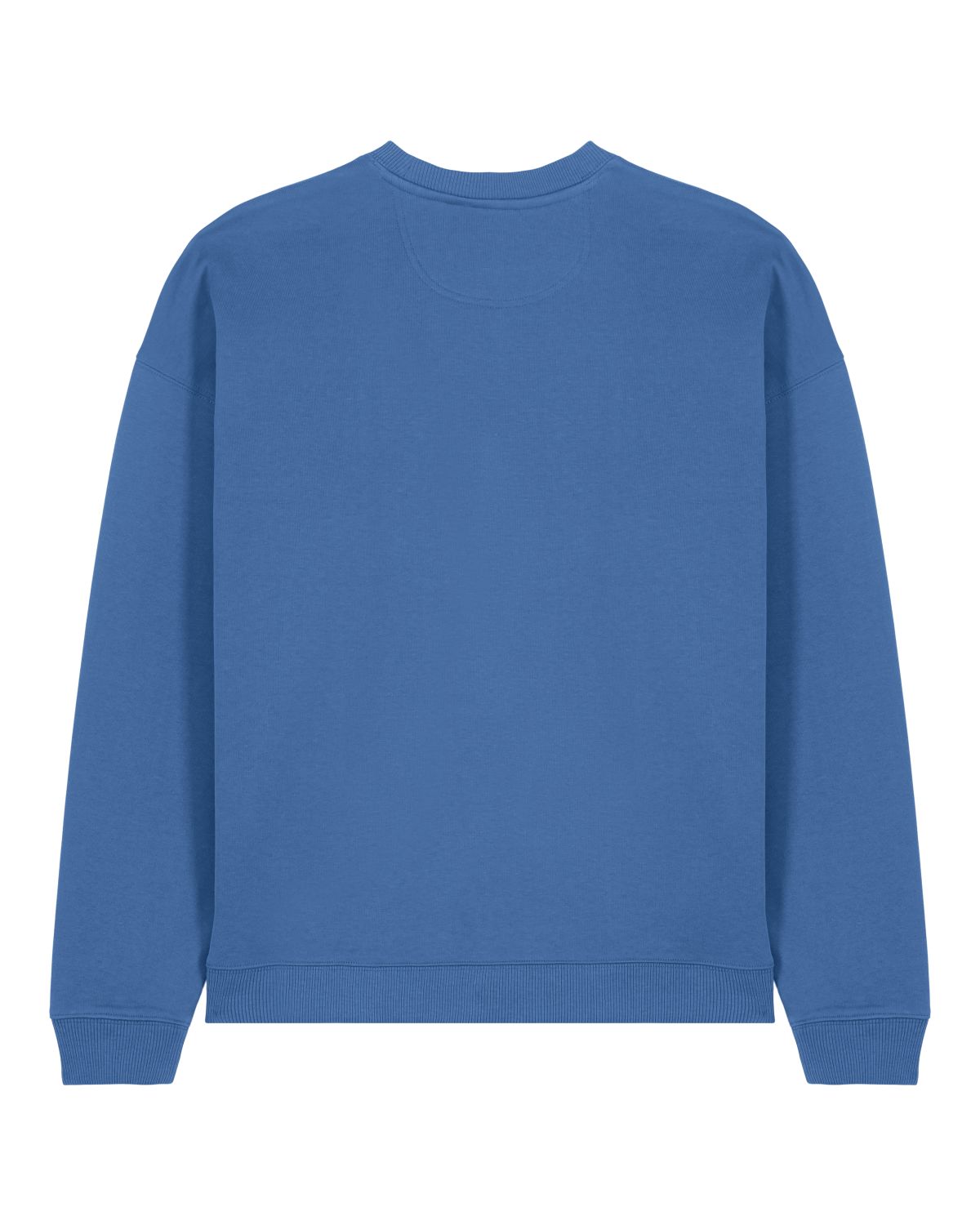 radder 2.0 unisex sweatshirt